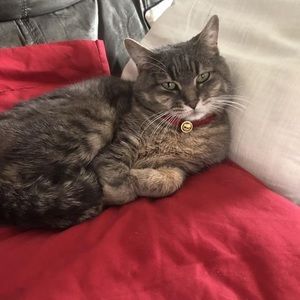 Meet your Posher, Trina